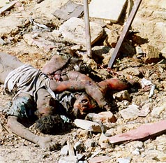 Cadavre d'un terroriste-suicide à Kandy (Sri Lanka), 25 janvier 1998 [source: www.spur.asn.au].